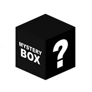 Woman’s size Large tops/blouses mystery box 10 items
